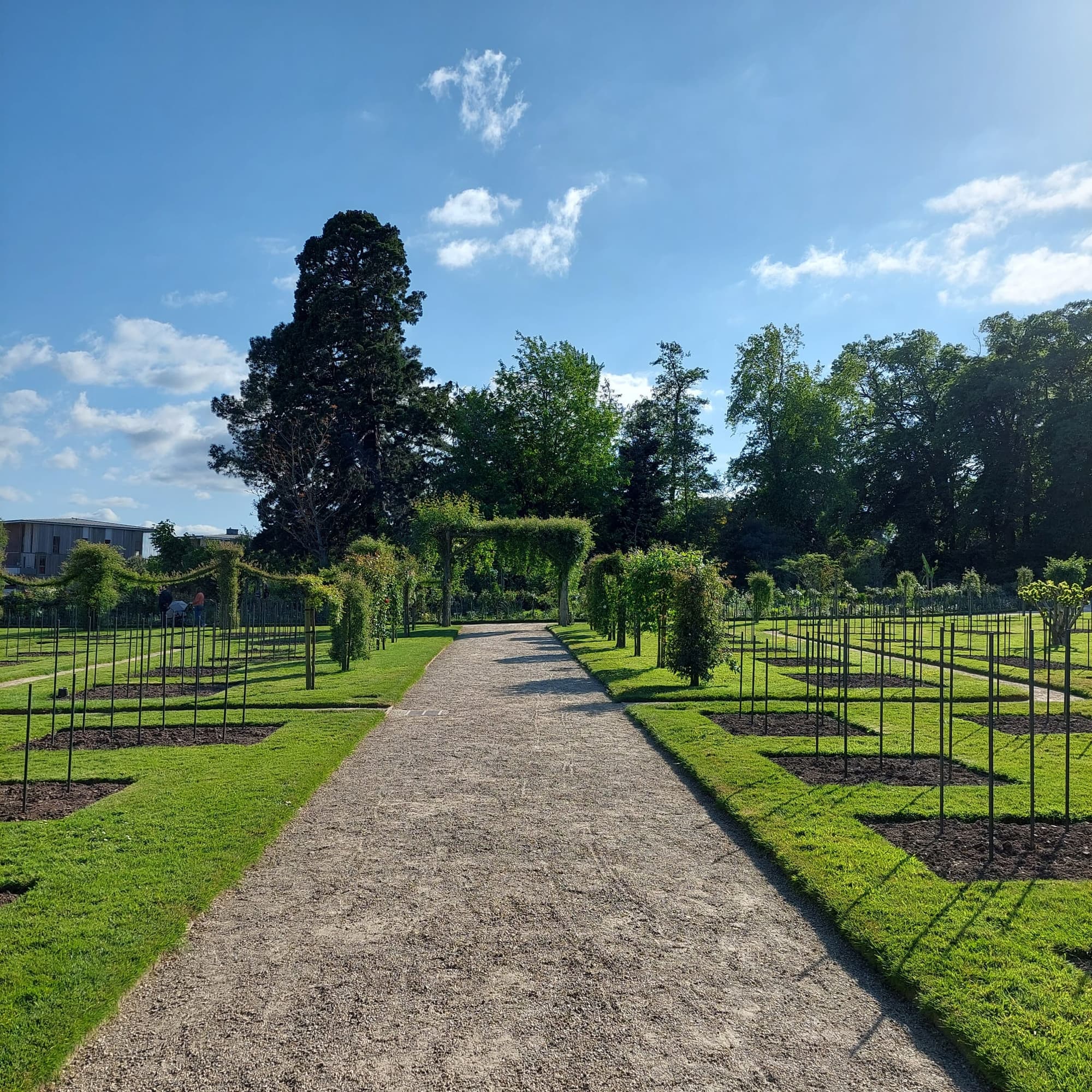 Parc du Thabor - Roseraie en fleurs