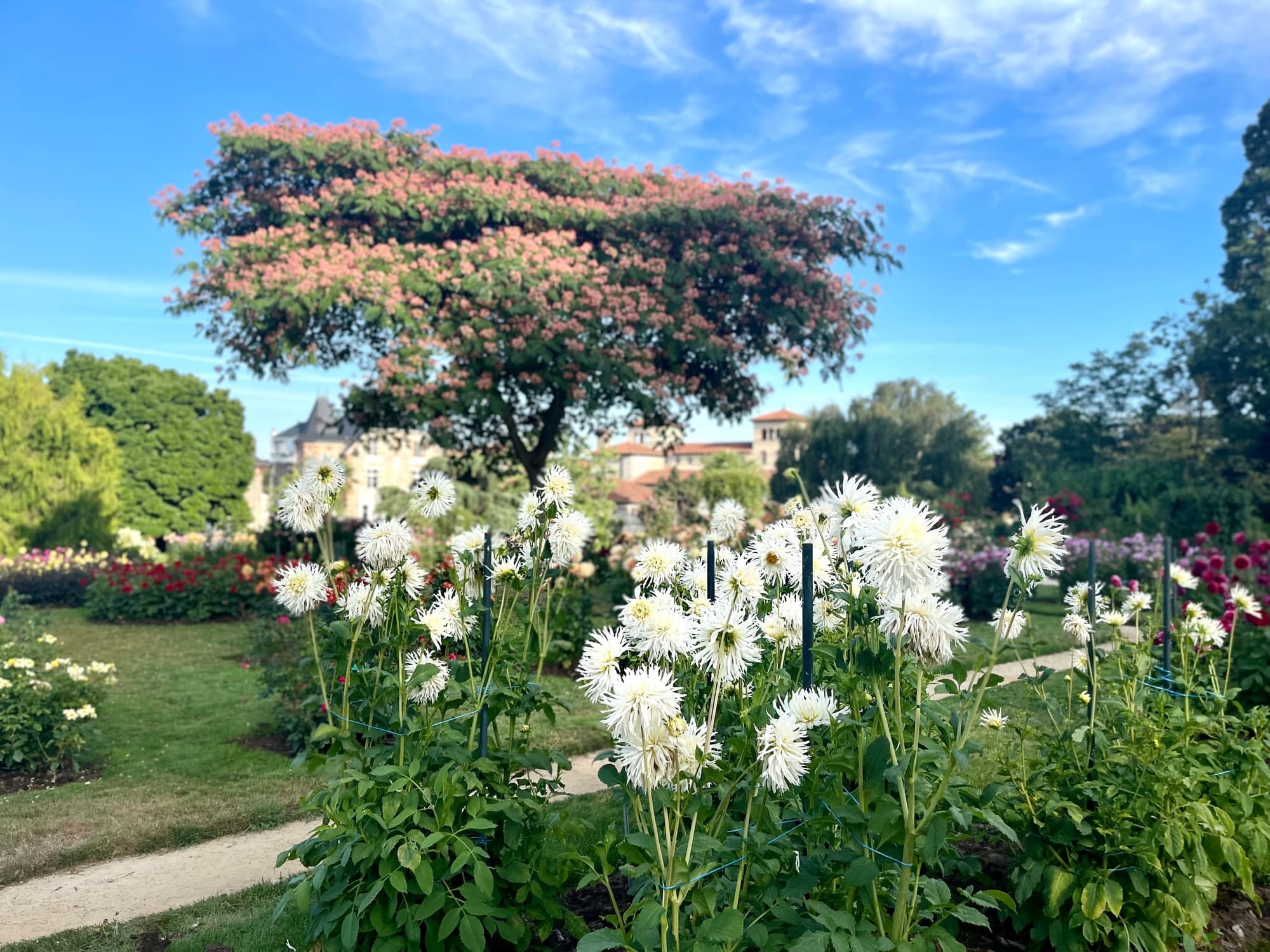 Parc du Thabor - Jardin à l'anglaise