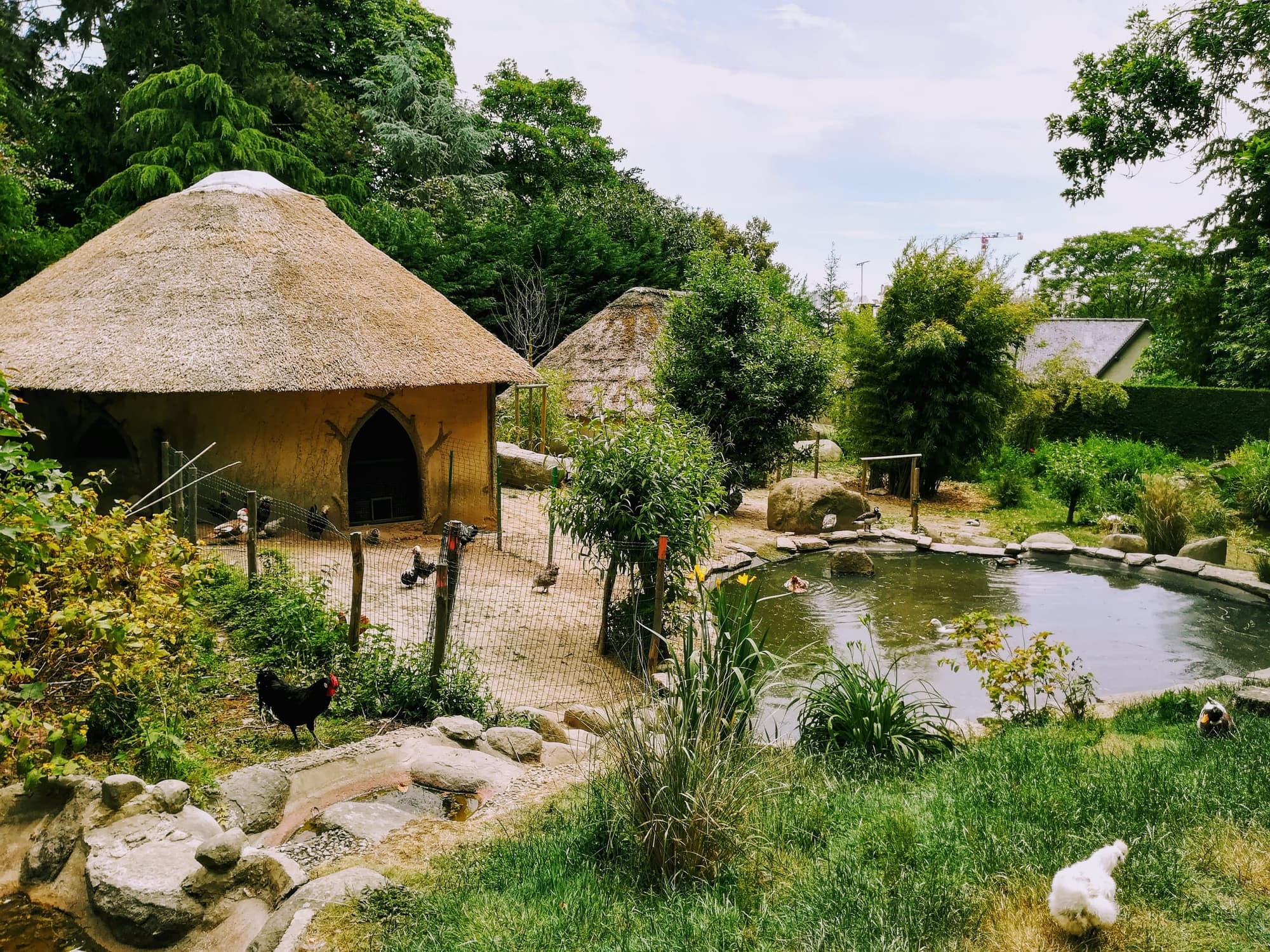 Parc du Thabor - Arboretum centenaire